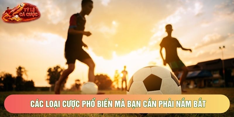 Các loại cược phổ biến mà bạn cần phải nắm bắt Các loại cược phổ biến mà bạn cần phải nắm bắt