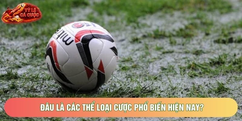 Đâu là các thể loại cược phổ biến hiện nay?