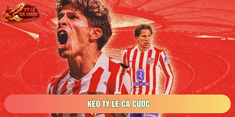 Kèo Tỷ Lệ Cá Cược Và Bí Quyết Đọc Vị Bảng Điện Tử Nhà Cái