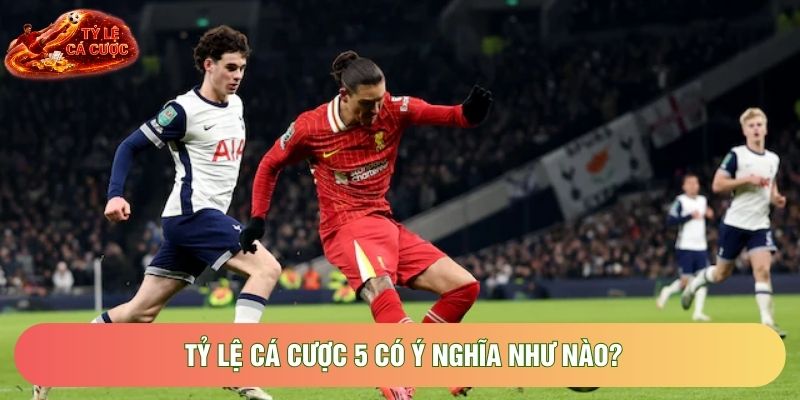 Tỷ lệ cá cược 5 có ý nghĩa như nào? Tỷ lệ cá cược 5 có ý nghĩa như nào?