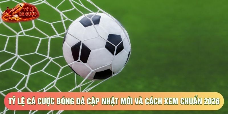 Tỷ Lệ Cá Cược Bóng Đá Cập Nhật Mới Và Cách Xem Chuẩn 2026