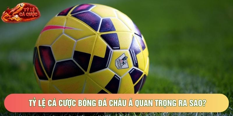 Tỷ lệ cá cược bóng đá châu Á quan trọng ra sao? Tỷ lệ cá cược bóng đá châu Á quan trọng ra sao?