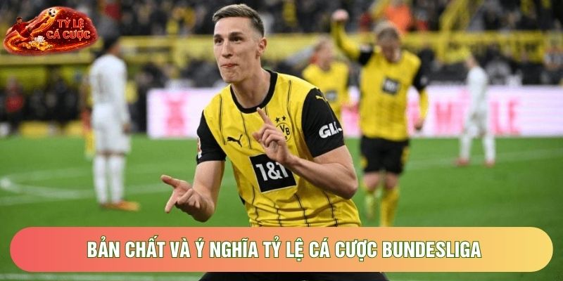 Bản chất và ý nghĩa tỷ lệ cá cược Bundesliga