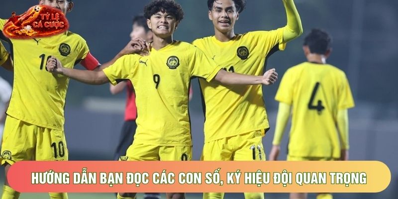 Hướng dẫn bạn đọc các con số, ký hiệu đội quan trọng