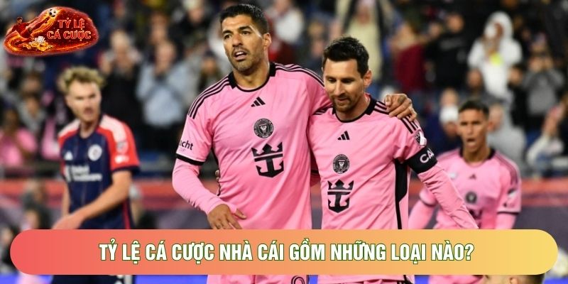 Tỷ lệ cá cược nhà cái gồm những loại nào? Tỷ lệ cá cược nhà cái gồm những loại nào?