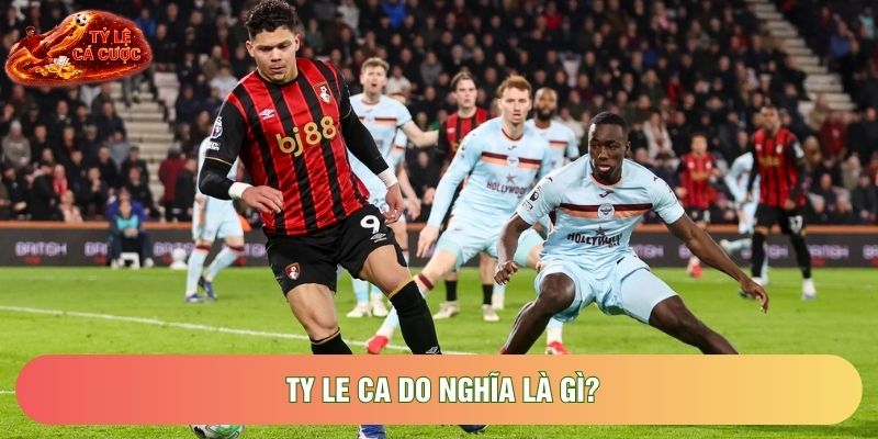 Ty le ca do nghĩa là gì? Ty le ca do nghĩa là gì?