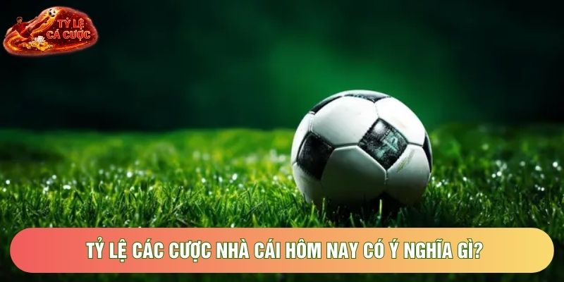 Tỷ lệ các cược nhà cái hôm nay có ý nghĩa gì?