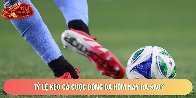 Tỷ lệ kèo cá cược bóng đá hôm nay ra sao? Tỷ lệ kèo cá cược bóng đá hôm nay ra sao?