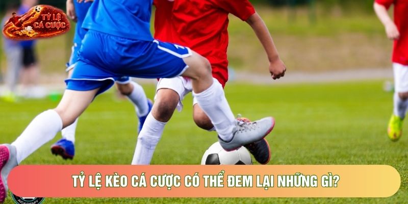 Tỷ lệ kèo cá cược có thể đem lại những gì? Tỷ lệ kèo cá cược có thể đem lại những gì?