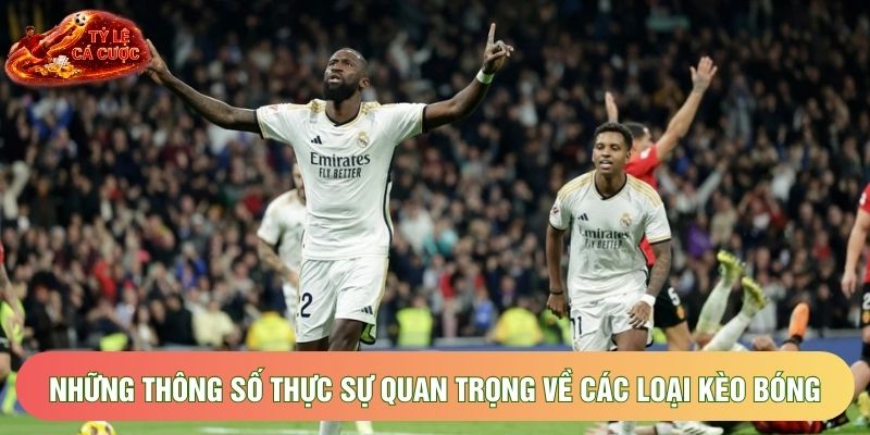 Những thông số thực sự quan trọng về các loại kèo bóng Những thông số thực sự quan trọng về các loại kèo bóng