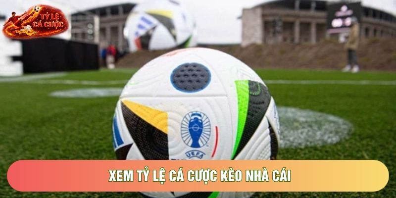 Hướng Dẫn Xem Tỷ Lệ Cá Cược Kèo Nhà Cái Chuẩn Nhất